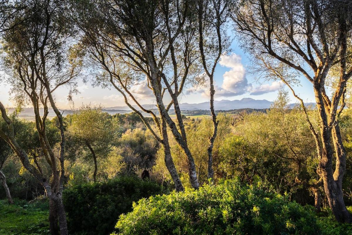 Finca Es Pujol Maria De La Salut Bagian luar foto